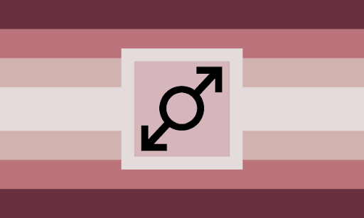 A flag with 6 equal, horizantal stripes, one thicker stripe in the middle, and a square, with a black male symbol that has arrows on both sides, in the center. The colors are symmetrical and are dark pink, desaturated pink, greyish pink, and an almost white pink. The square is a pale pink with a border the same color as the middle stripe.