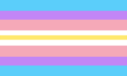 A flag with 9 horizontal stripes. The 1st, 3rd, 7th, and 9th stripes are thicker than the rest. The colors are symmetrical, they are blue, purple, pink, white, and yellow.